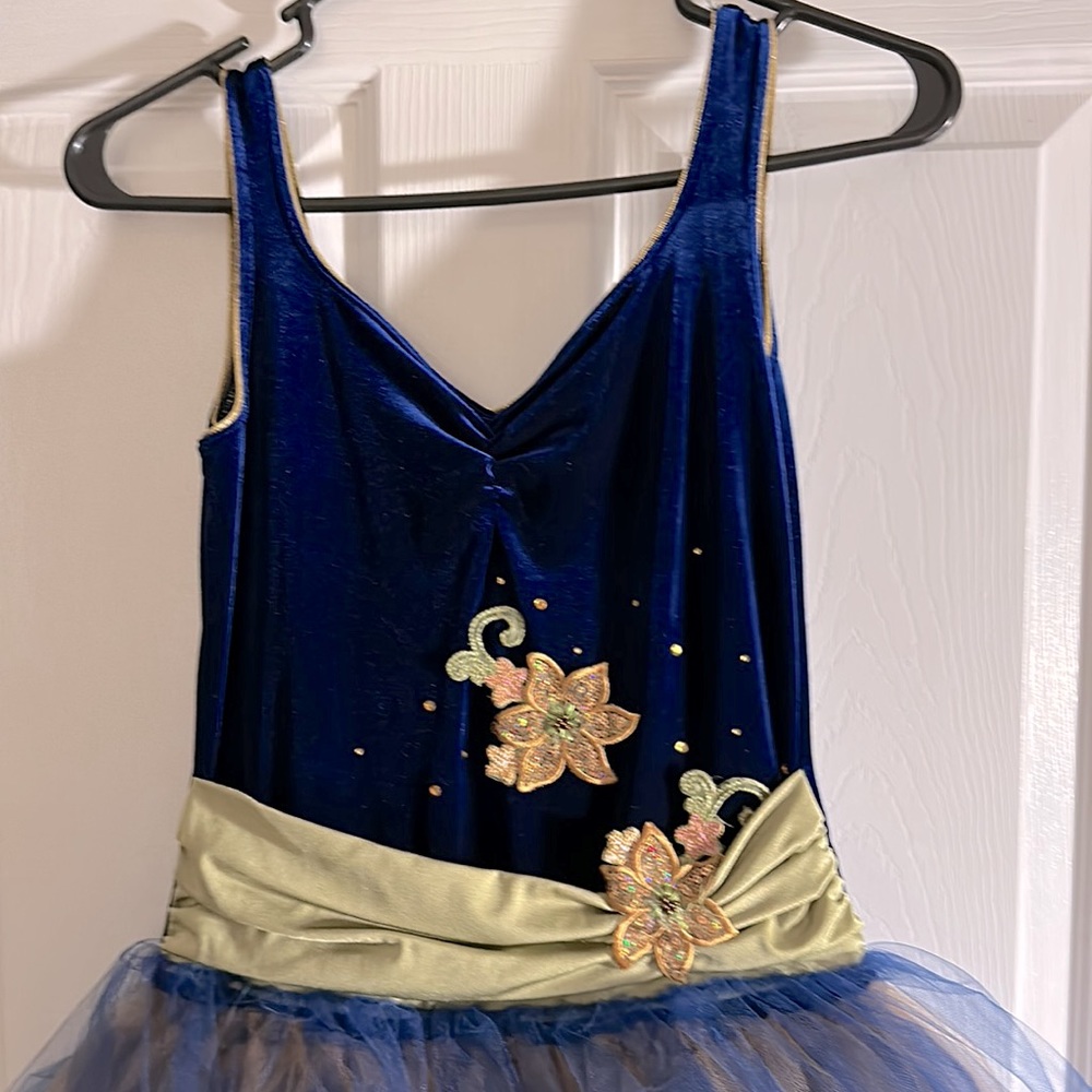 Dance Costume - Picture 2 of 6